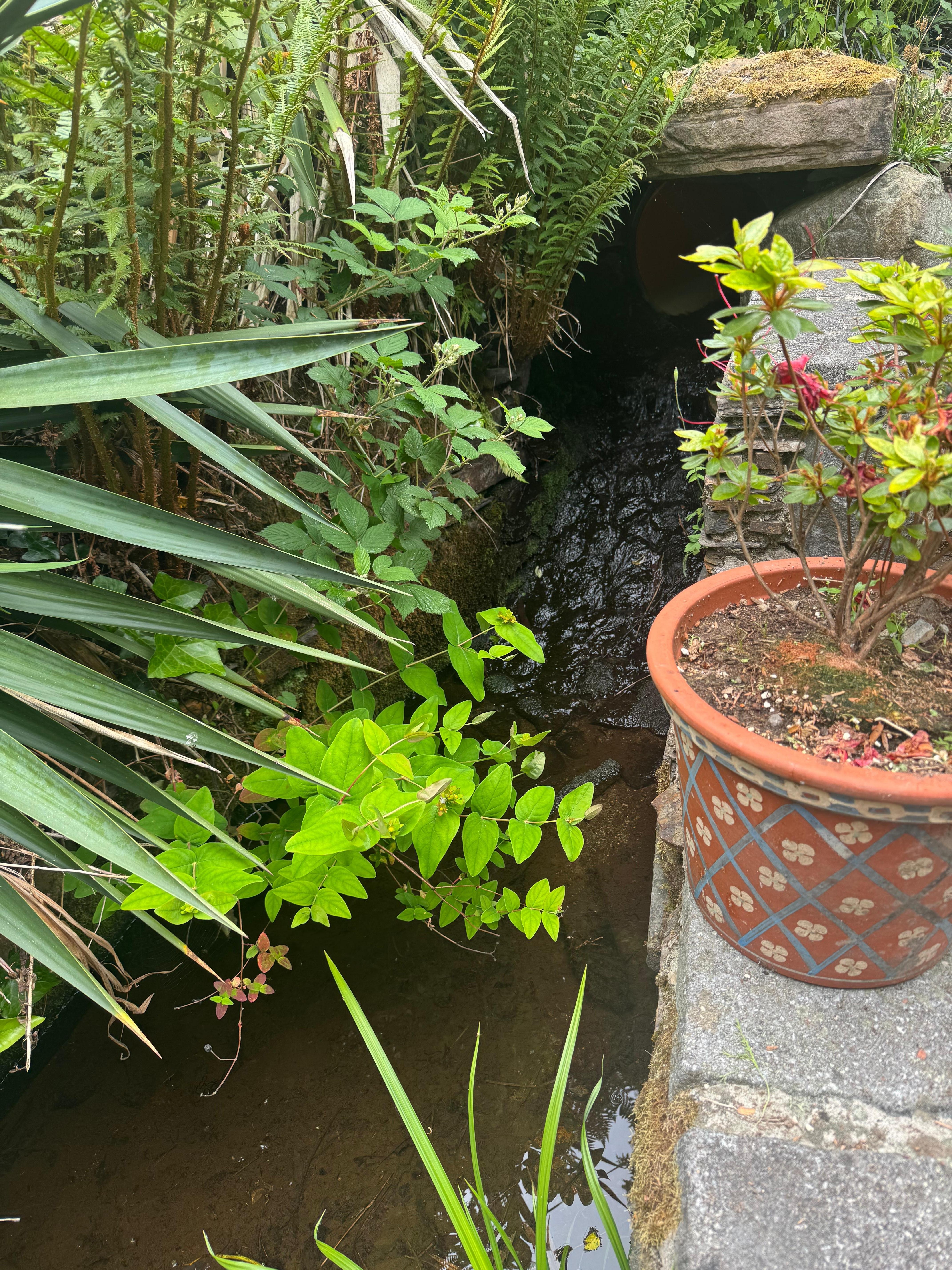 The stream in the garden was an added bonus! 