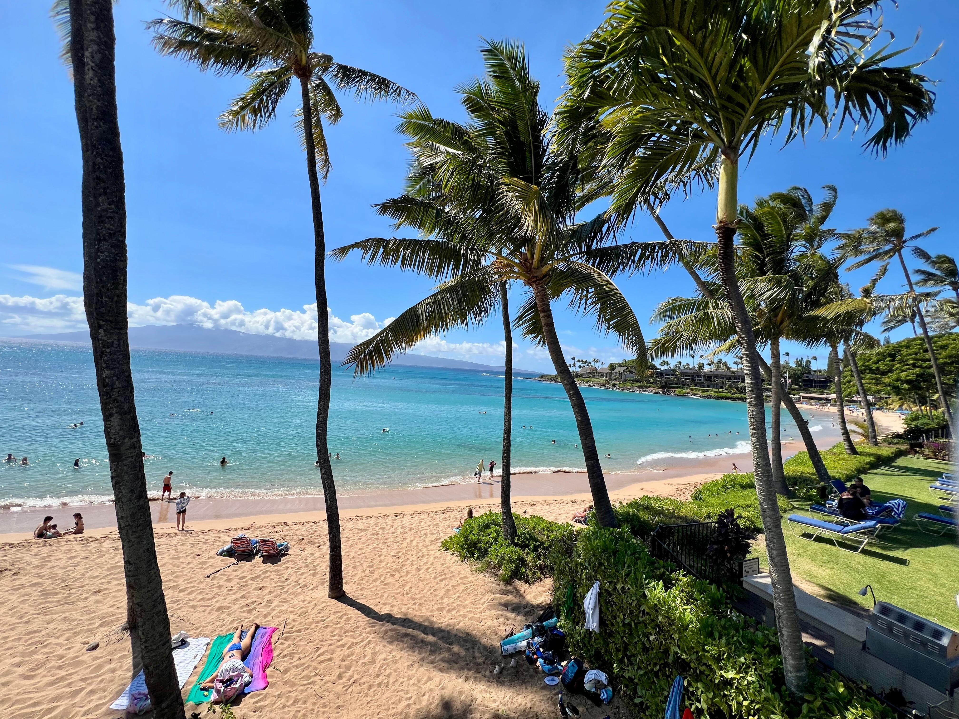 That view though…