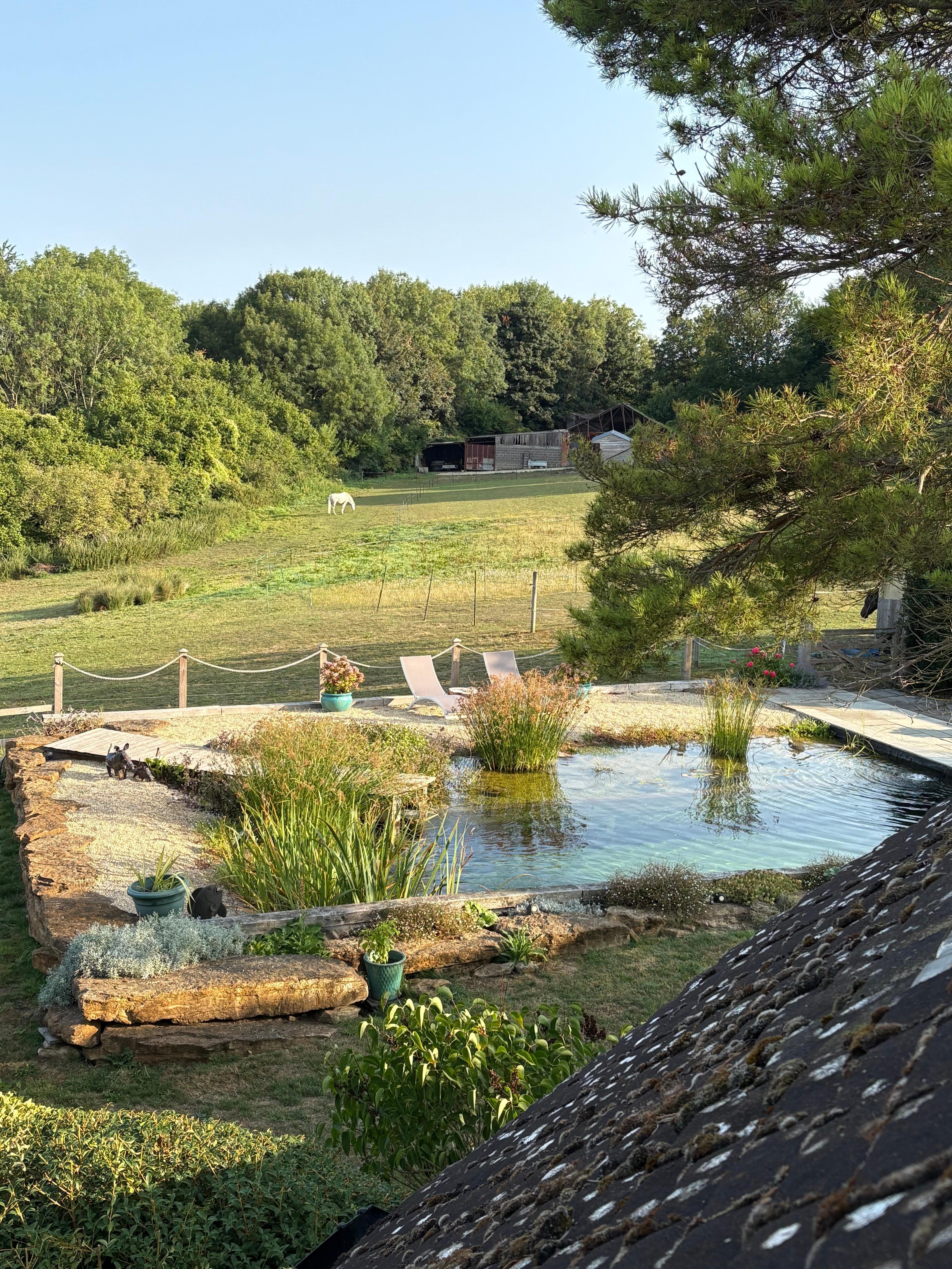 View of the pool from the bedroom
