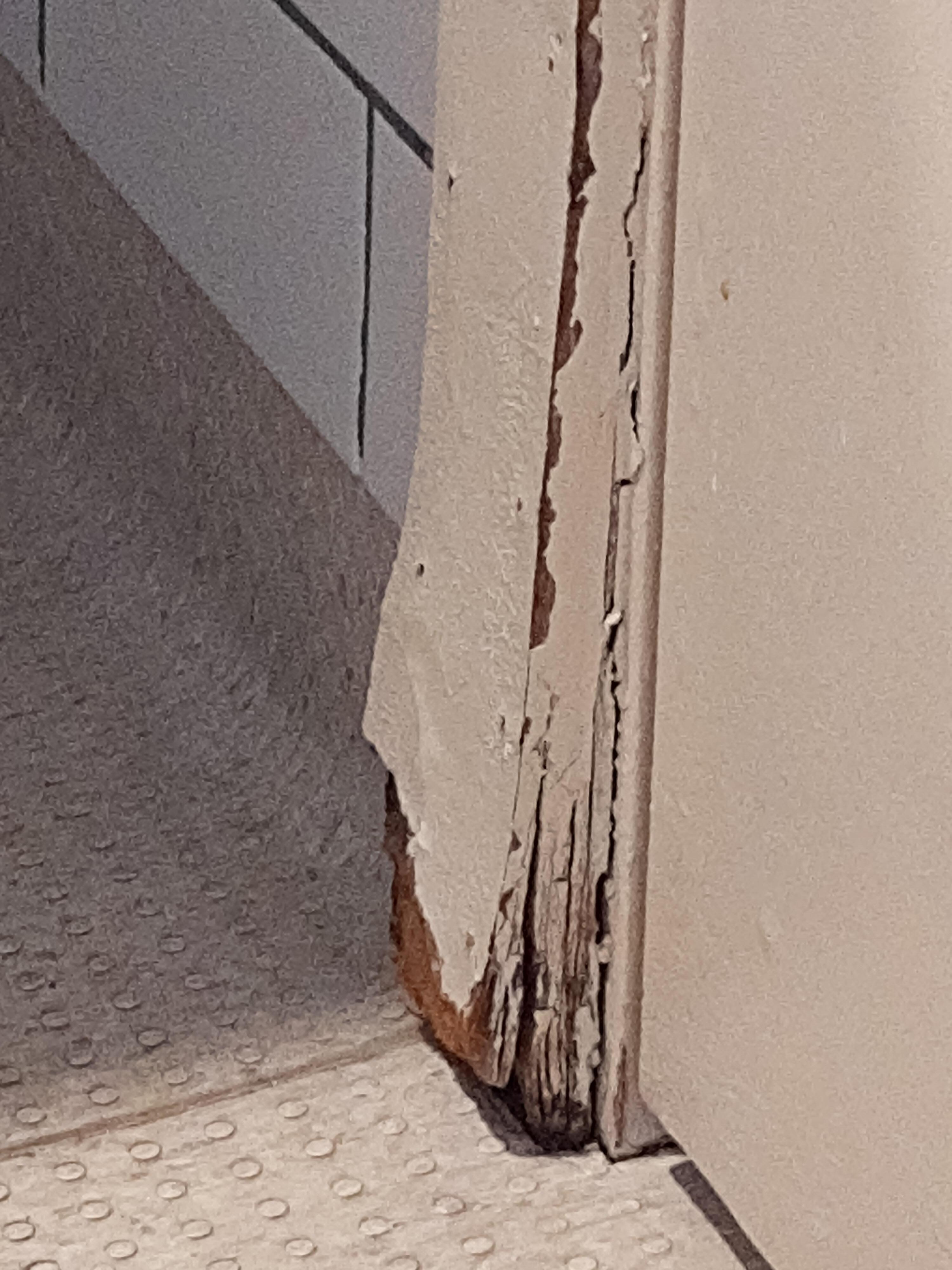 Wet rot in bathroom