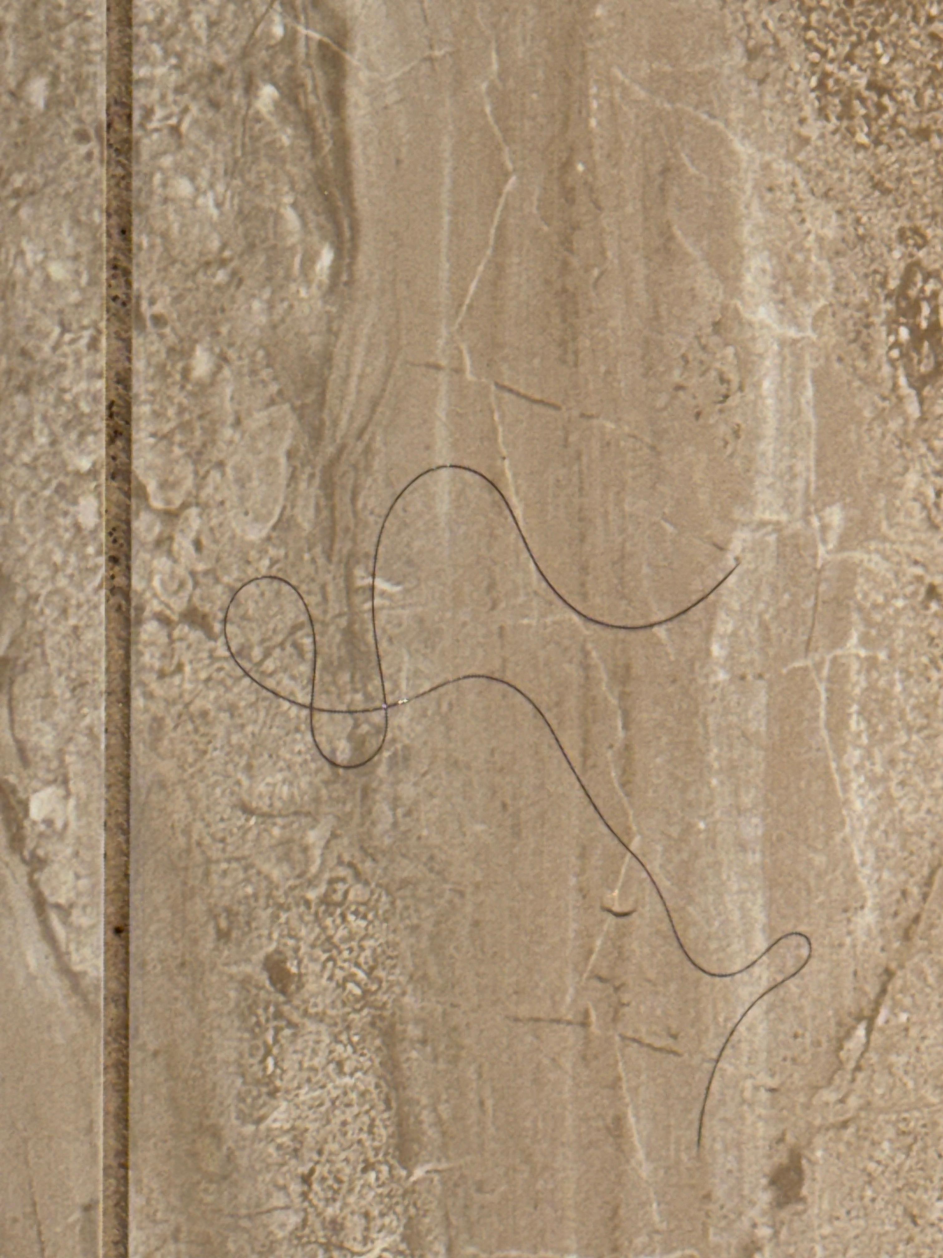 Not our hair on shower wall