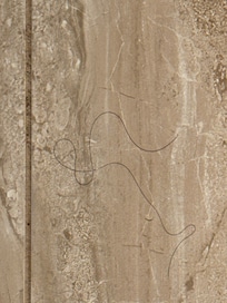 Not our hair on shower wall