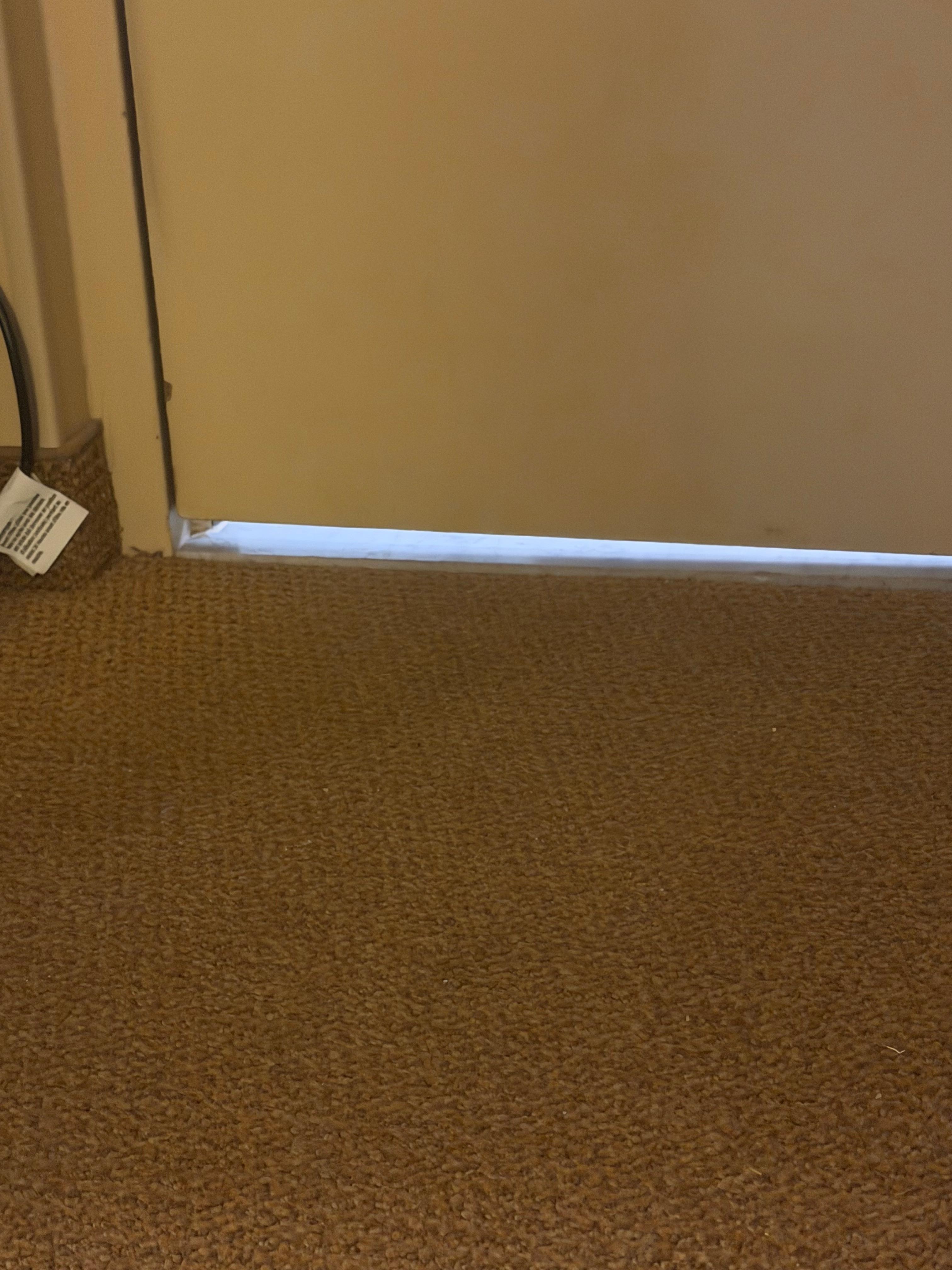 Mice have easy access 