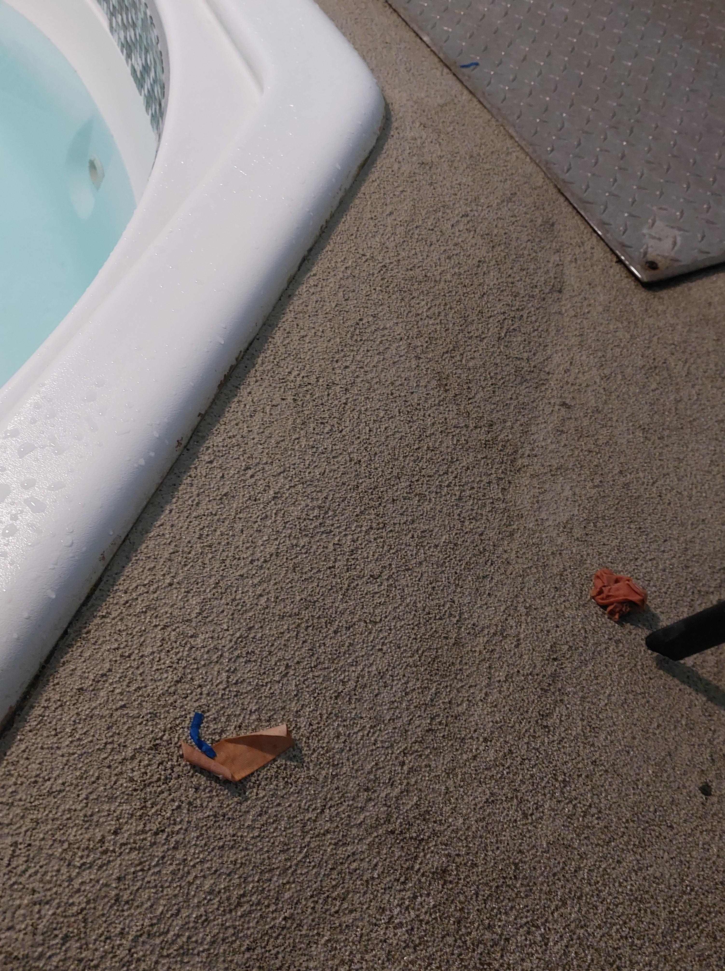 A small amount of the gross filth around the pool and hot tub. 