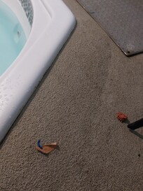 A small amount of the gross filth around the pool and hot tub.