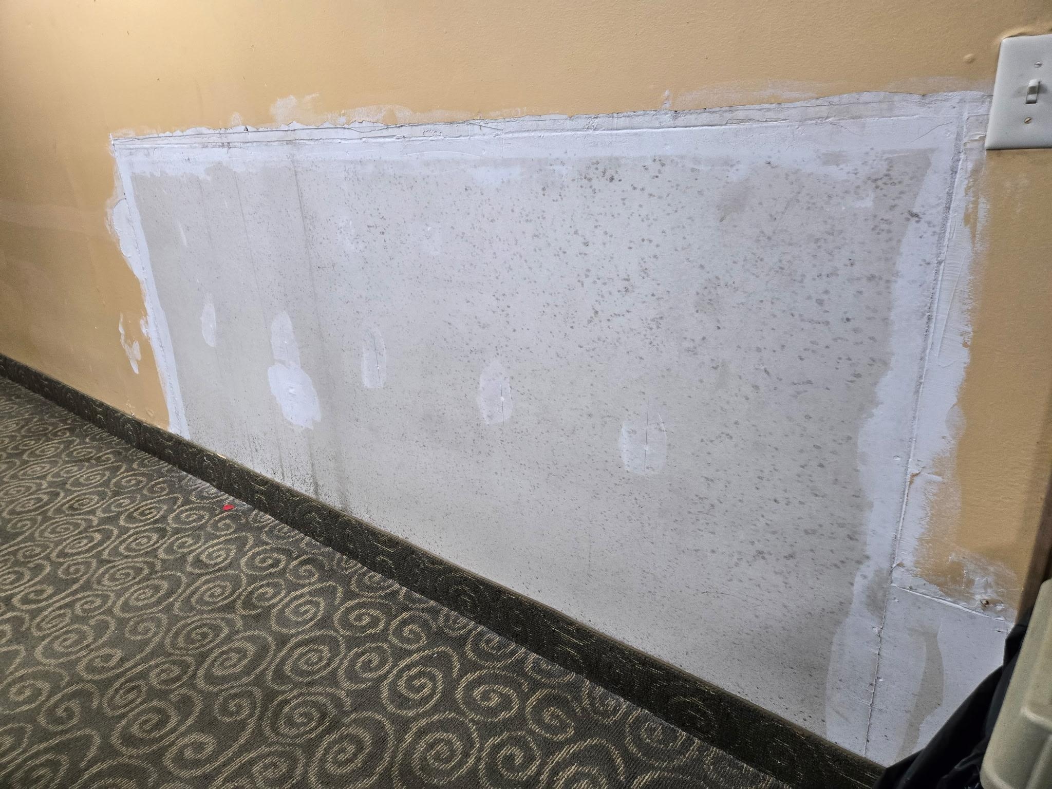 Part of the 'remodel' that had new mold growing.