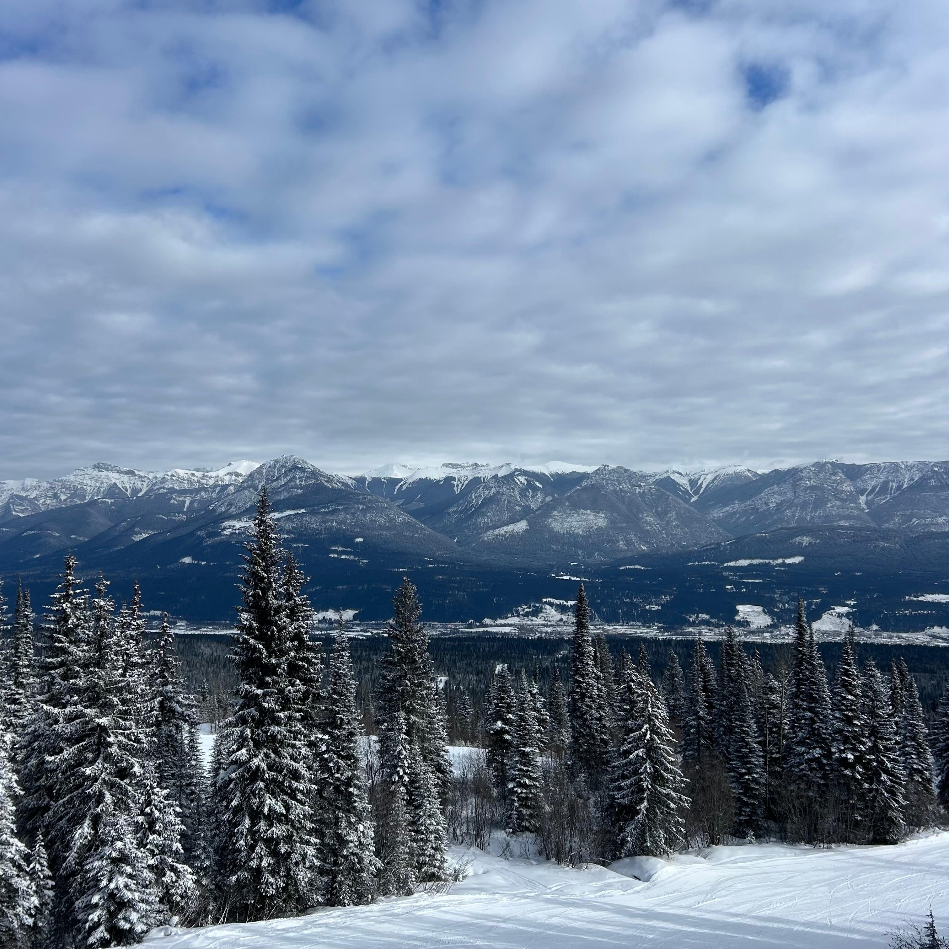 Beautiful view on a sunny day