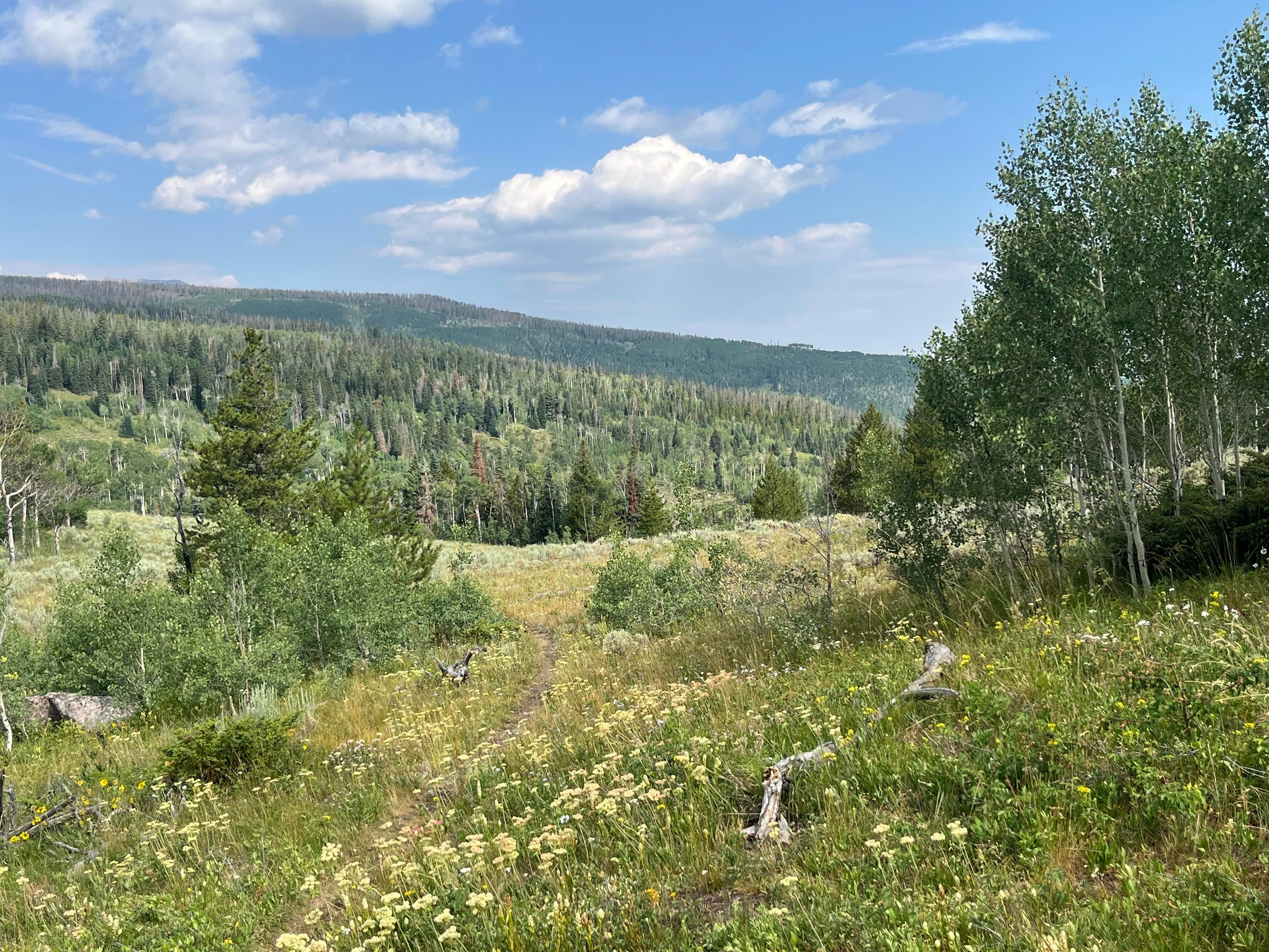 Eagles Nest Trail next to home