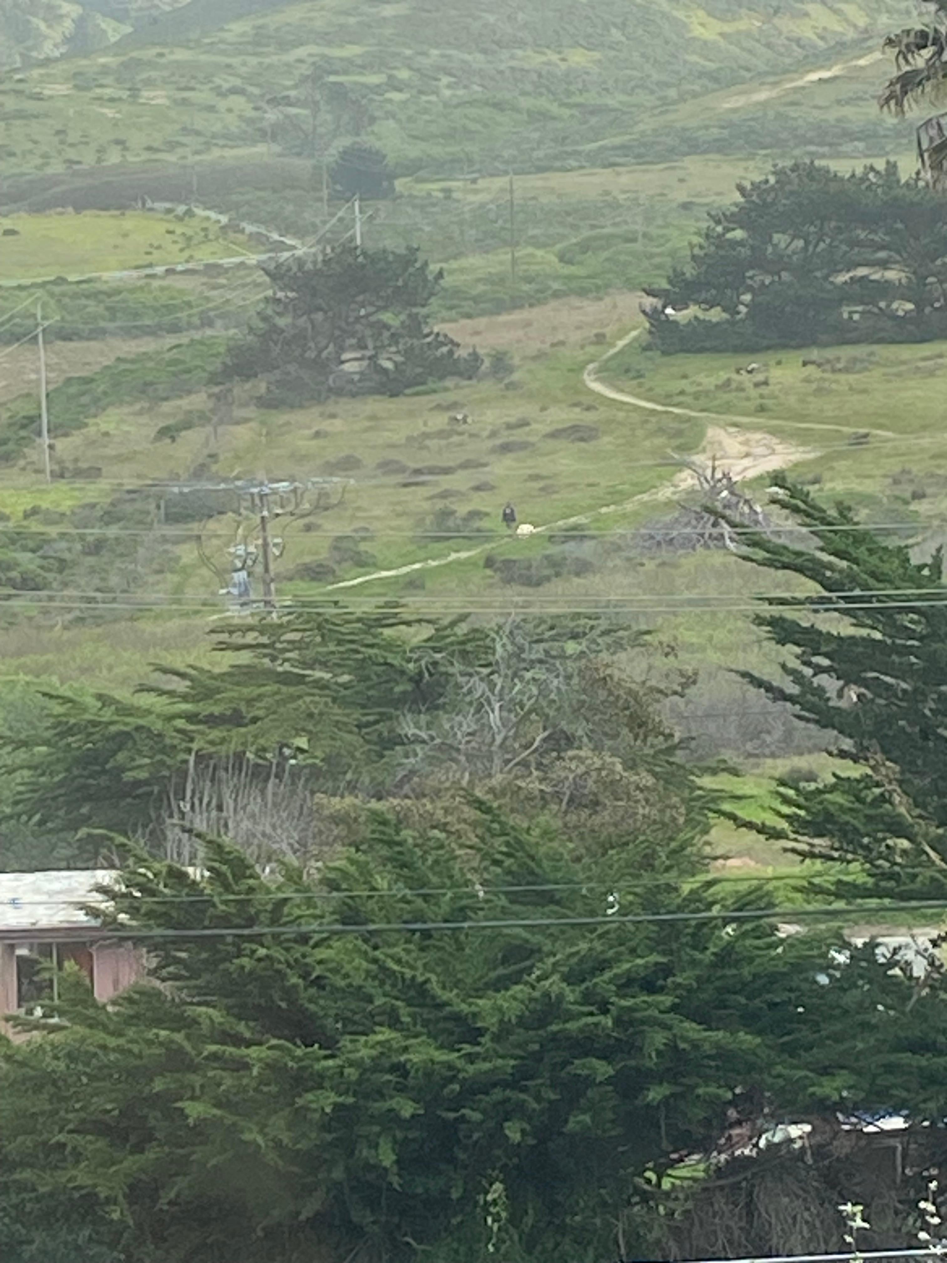 Hiking view from window with my puppy and hubby 