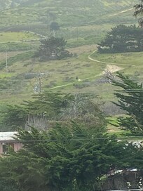 Hiking view from window with my puppy and hubby