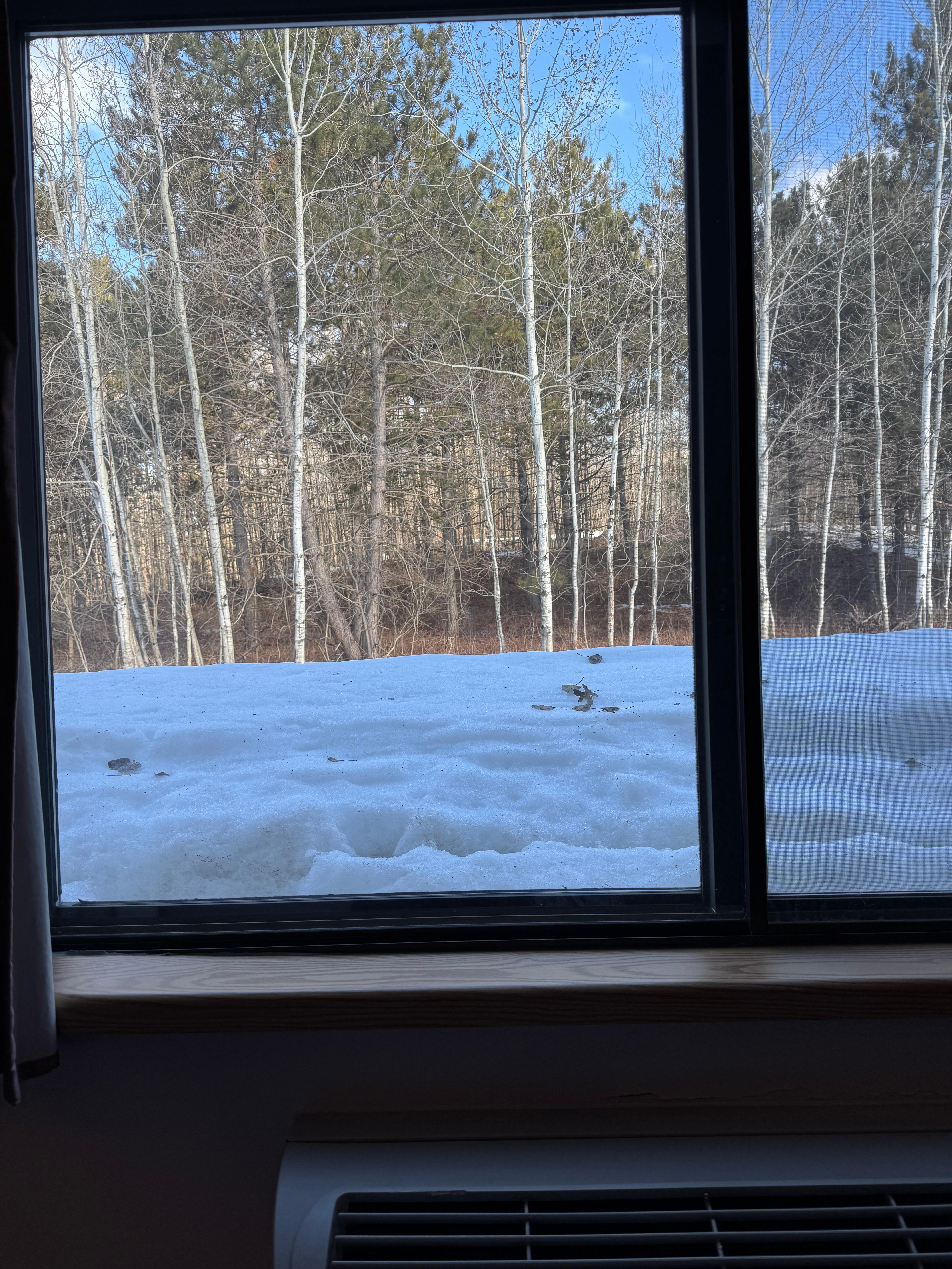 Snow is melting and Spring is finally on the way!