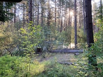 Another view from the porch