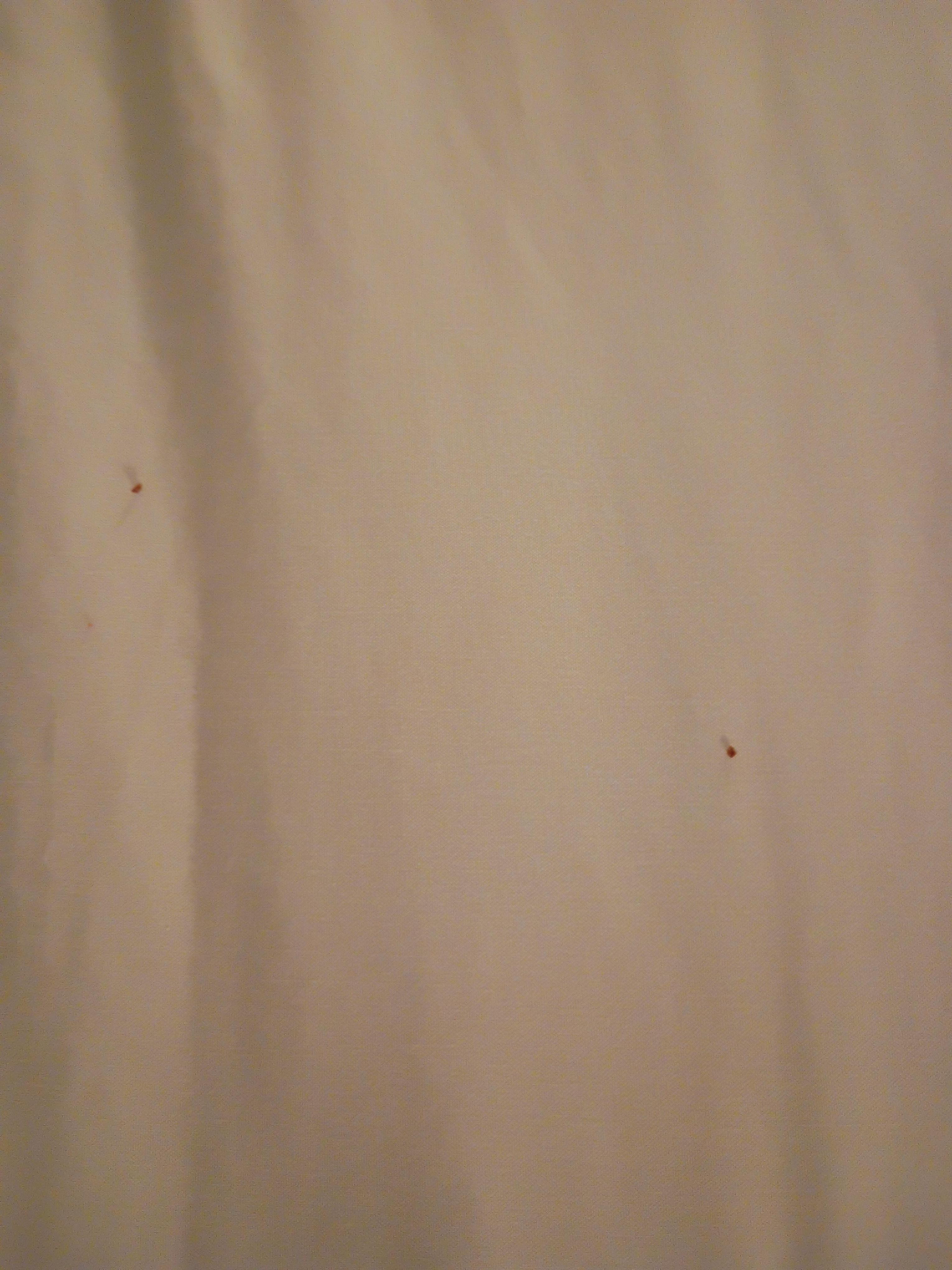 Crumbs left in the bed, After I cleaned some out under me.