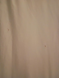 Crumbs left in the bed, After I cleaned some out under me.