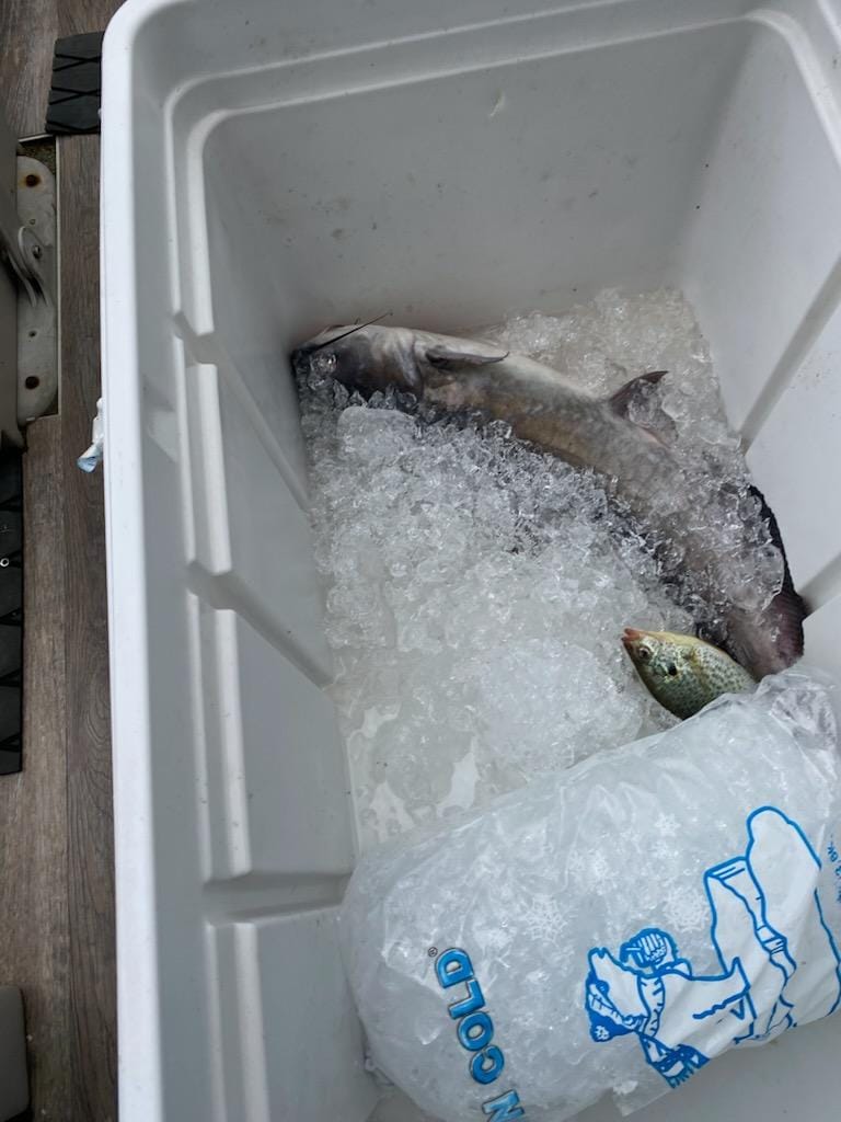 within 10 minutes they started