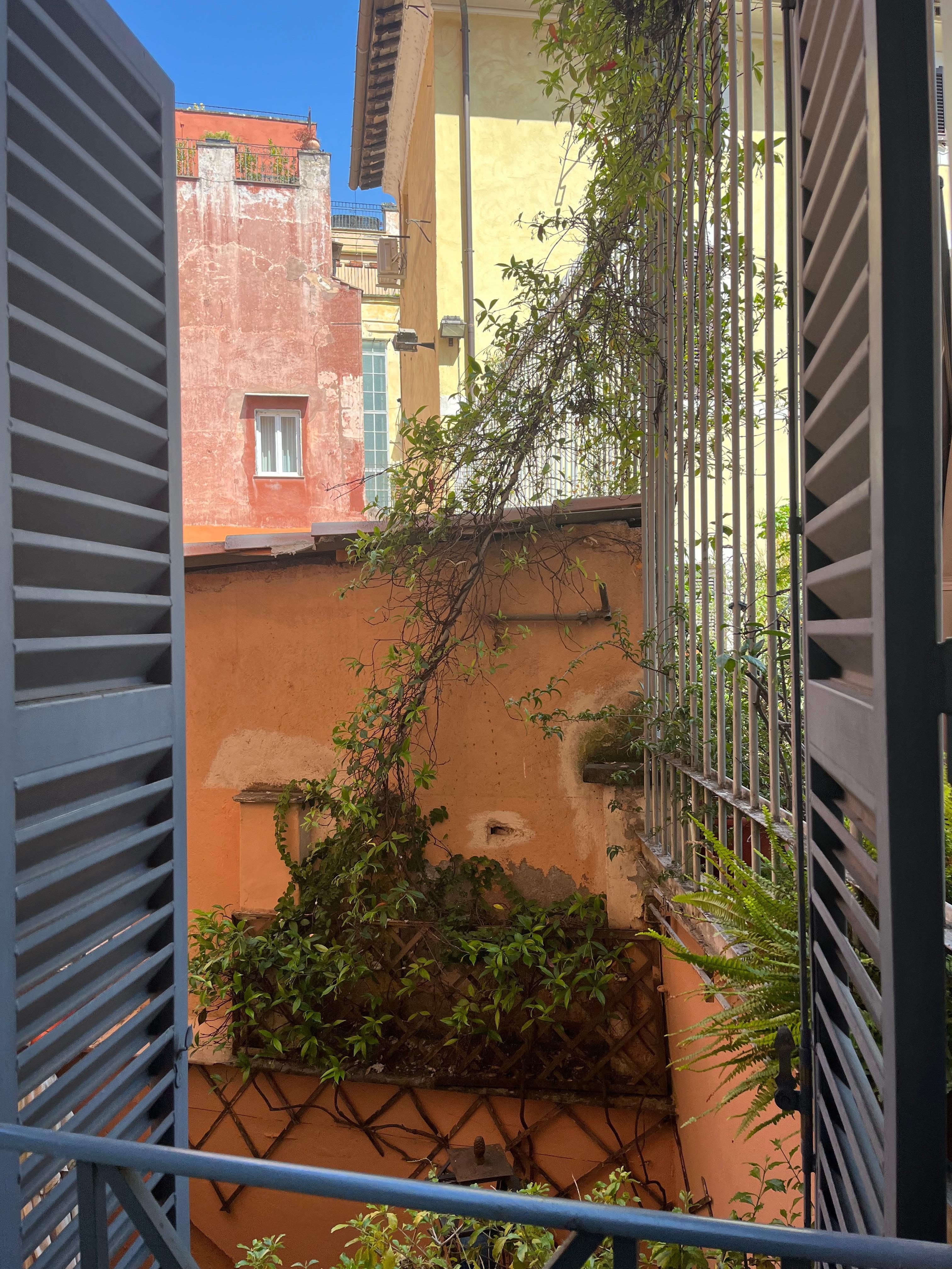 Neighbor’s greenery and privacy.