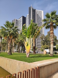 View of the apartments from the Paseo Martiricos