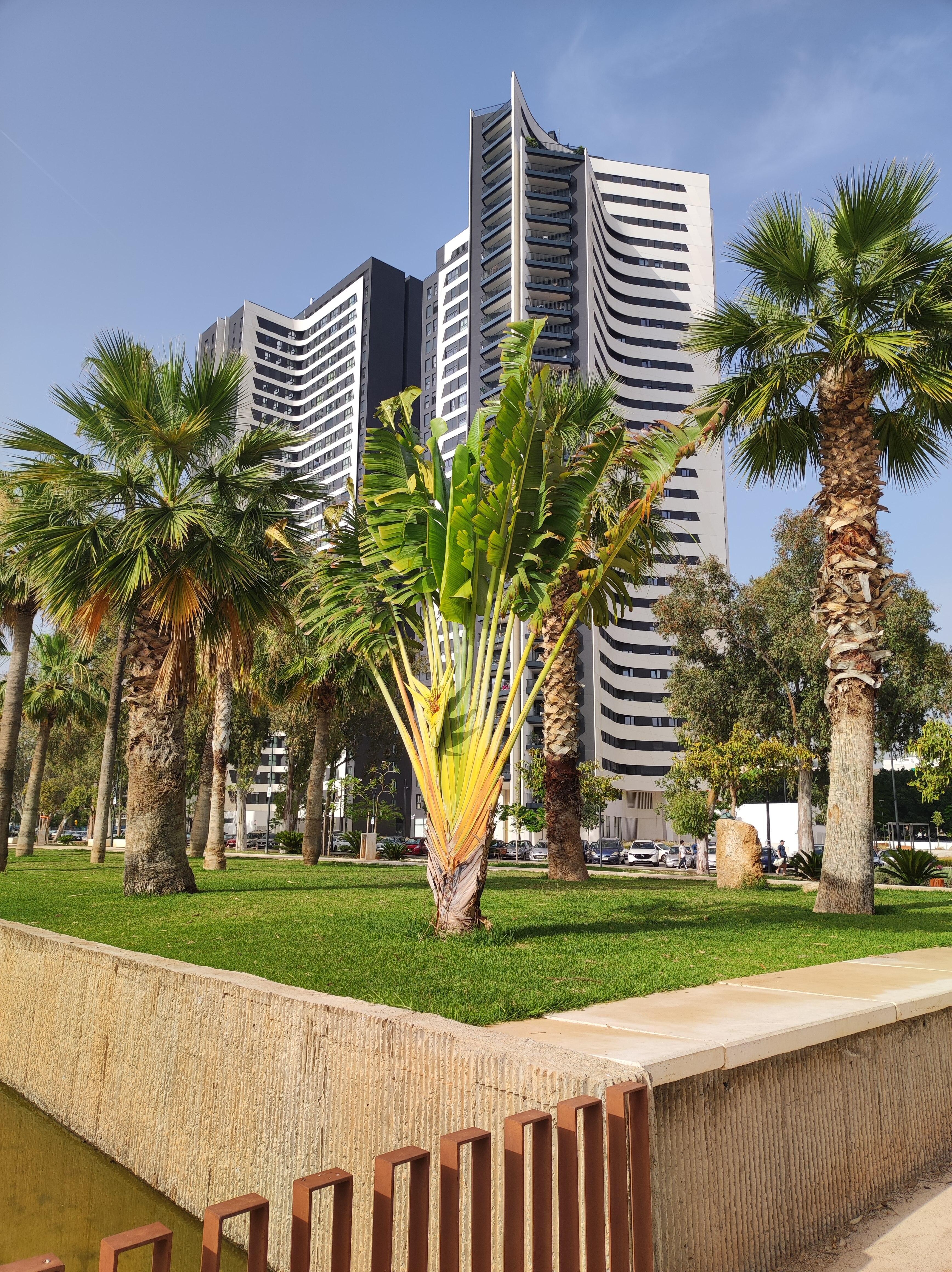 View of the apartments from the Paseo Martiricos