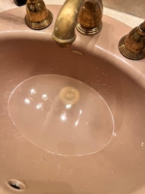 Clogged sink