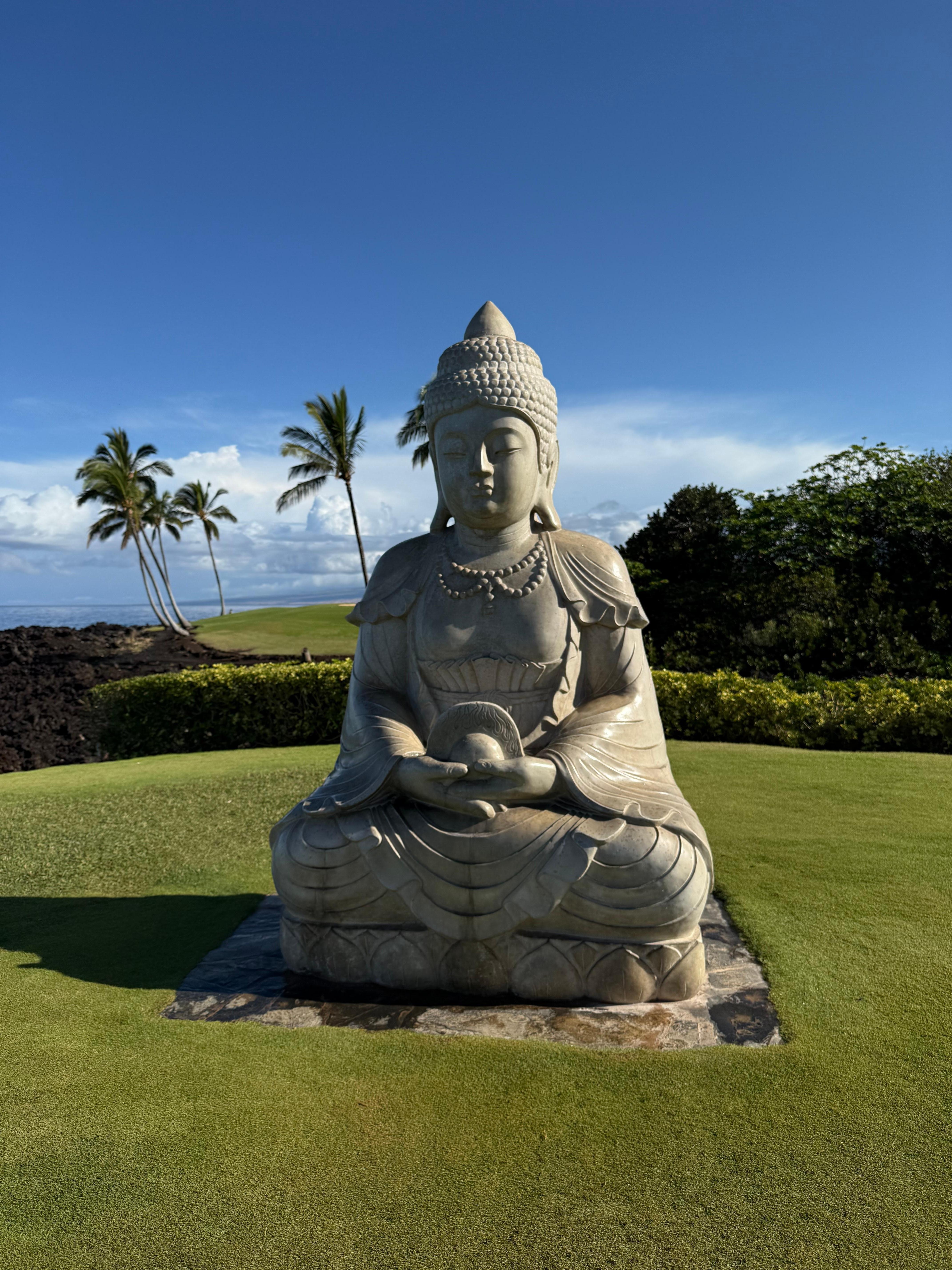 Statues at the Waikaloa