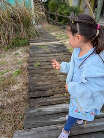 The source grows along the walk