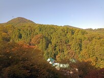 旅館からの眺め