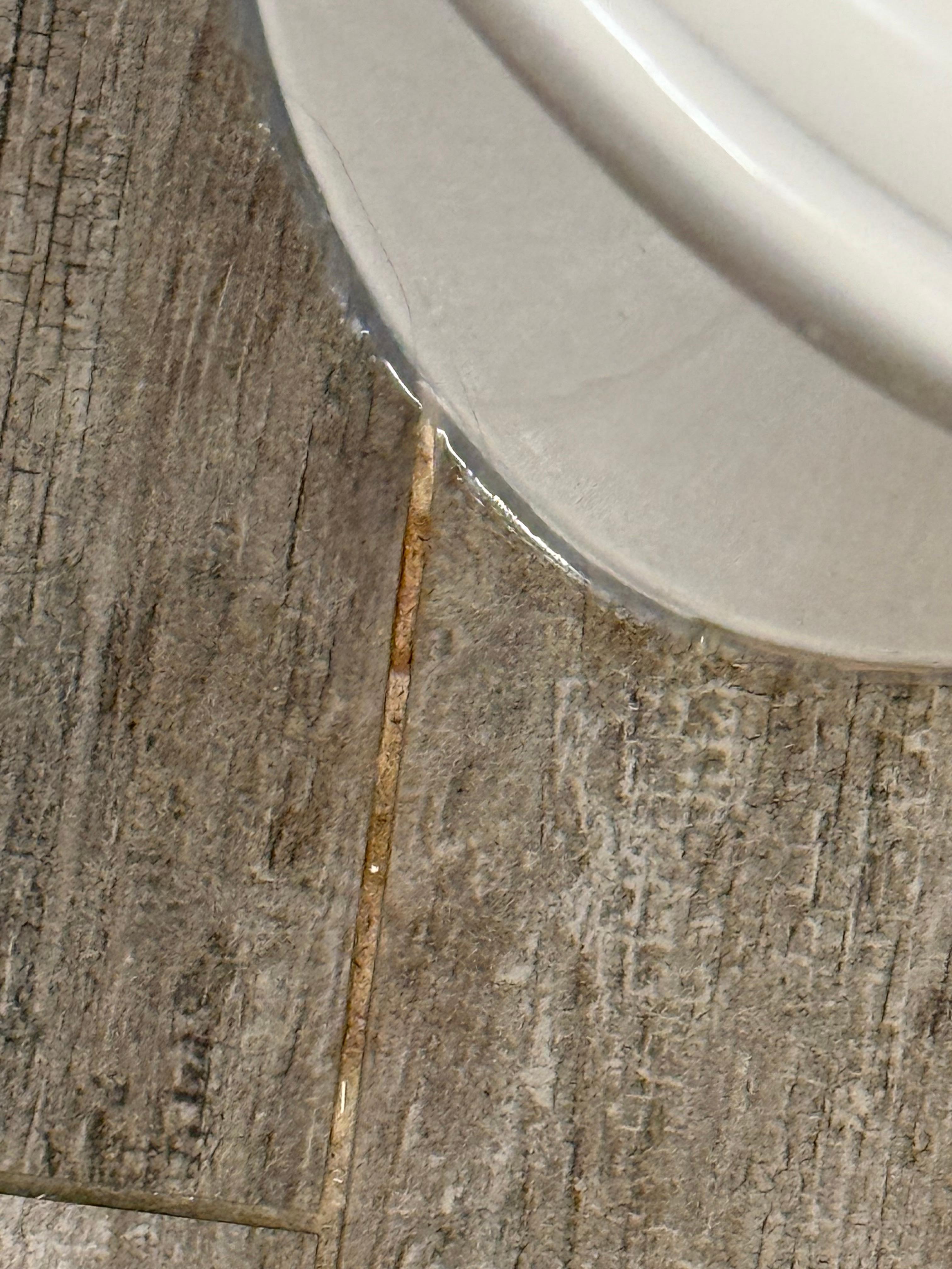 Dried urine on floor