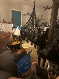 Dog friendly