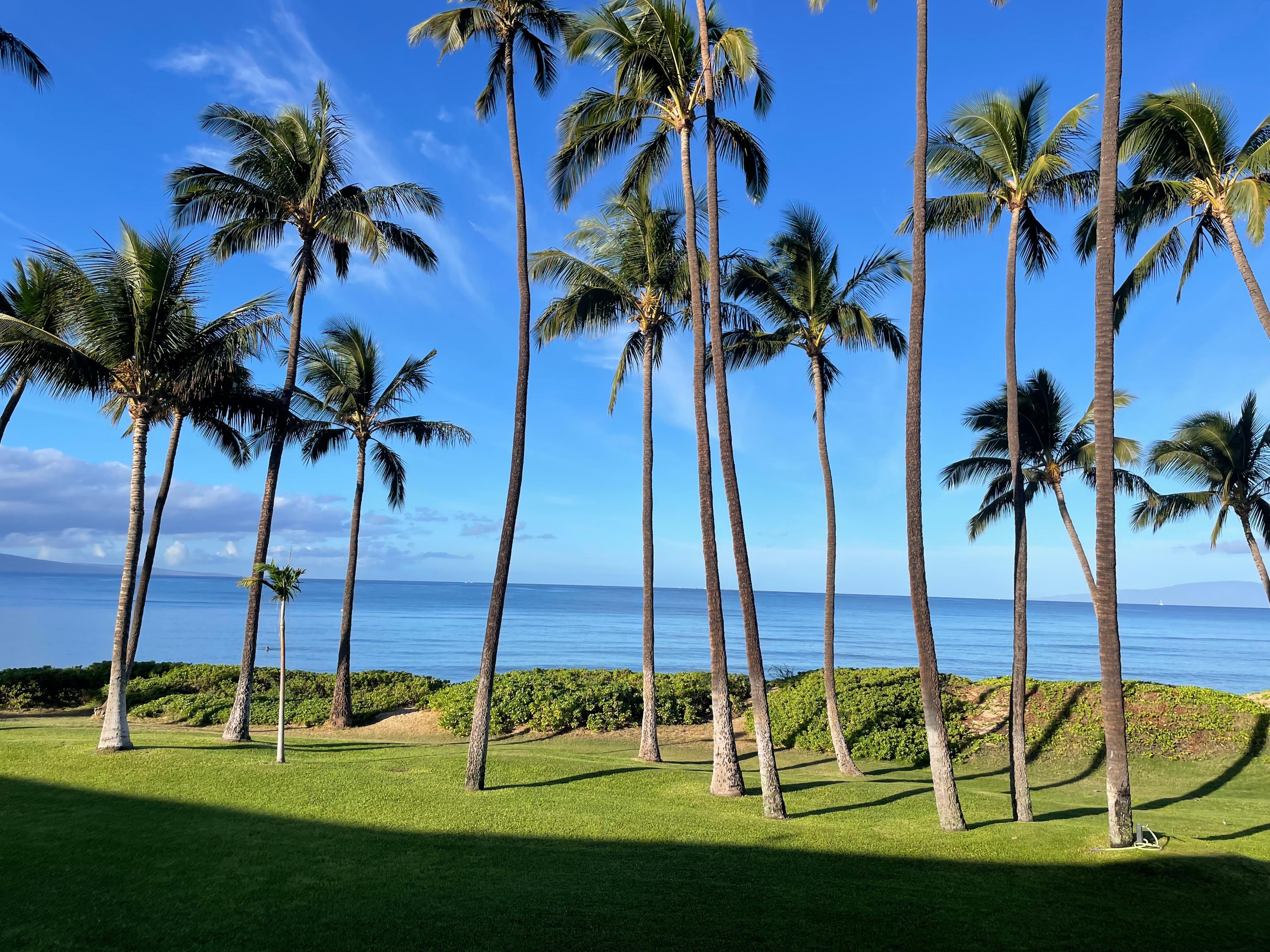 View from the balcony