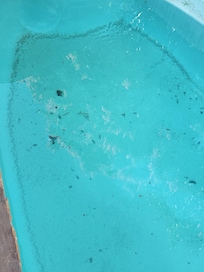 Dirty pool