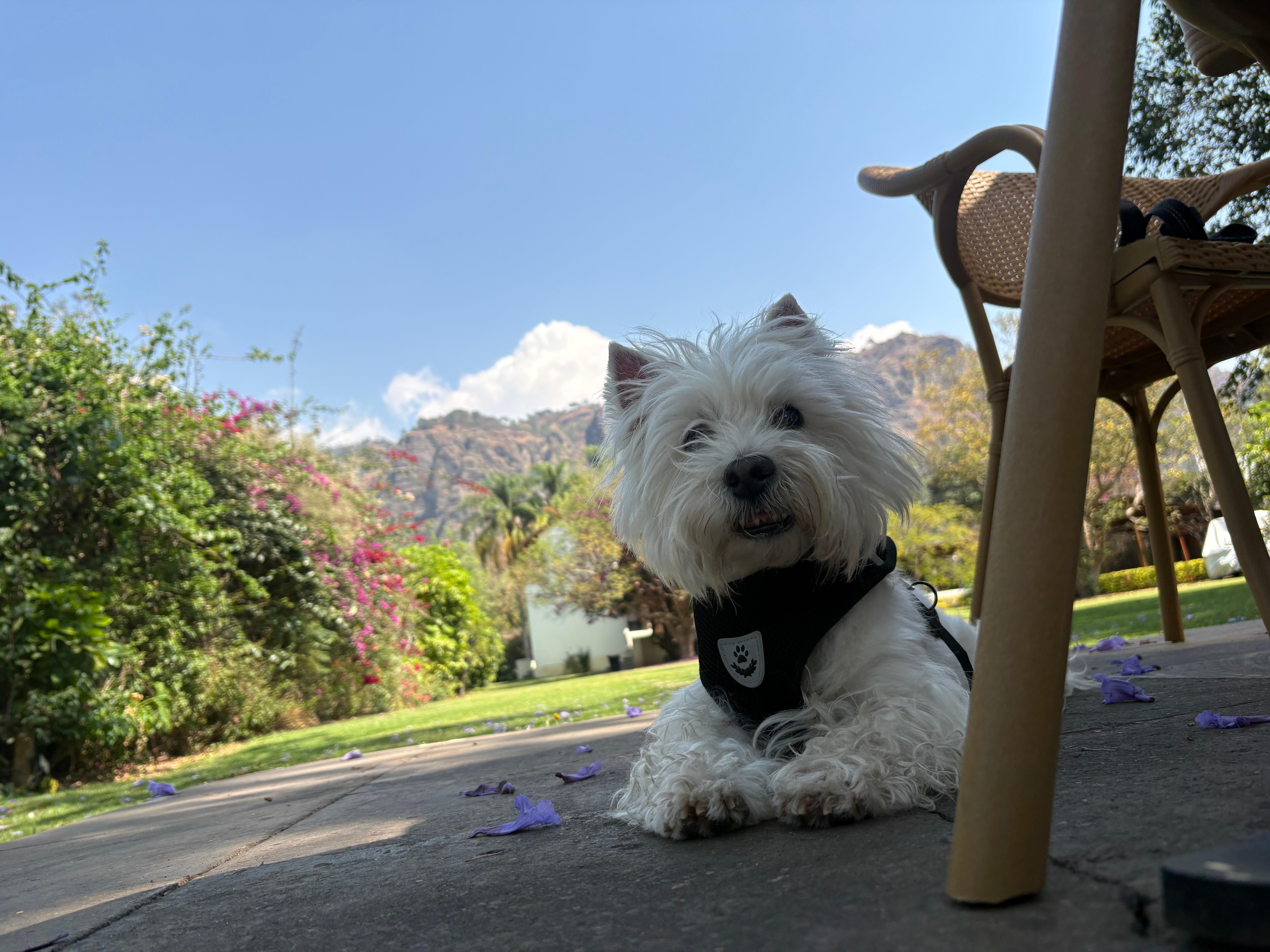 desde el área de mesas, desayunando