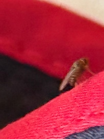 welcome to breakfast inside the mosquitoes will follow you in and then whatever they’ve got going on in their kitchen. Our service area is gonna get you from the inside not sure this meets public health Code, but it’s the quality of Biltmore manager