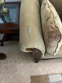 Glass shard on couch arm