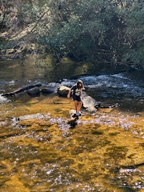 Enjoying the creek