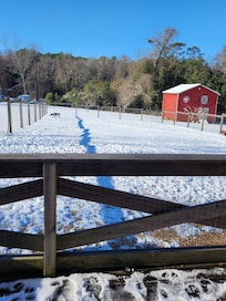 Great deck and safe fenced yard for the dogs to enjoy.
