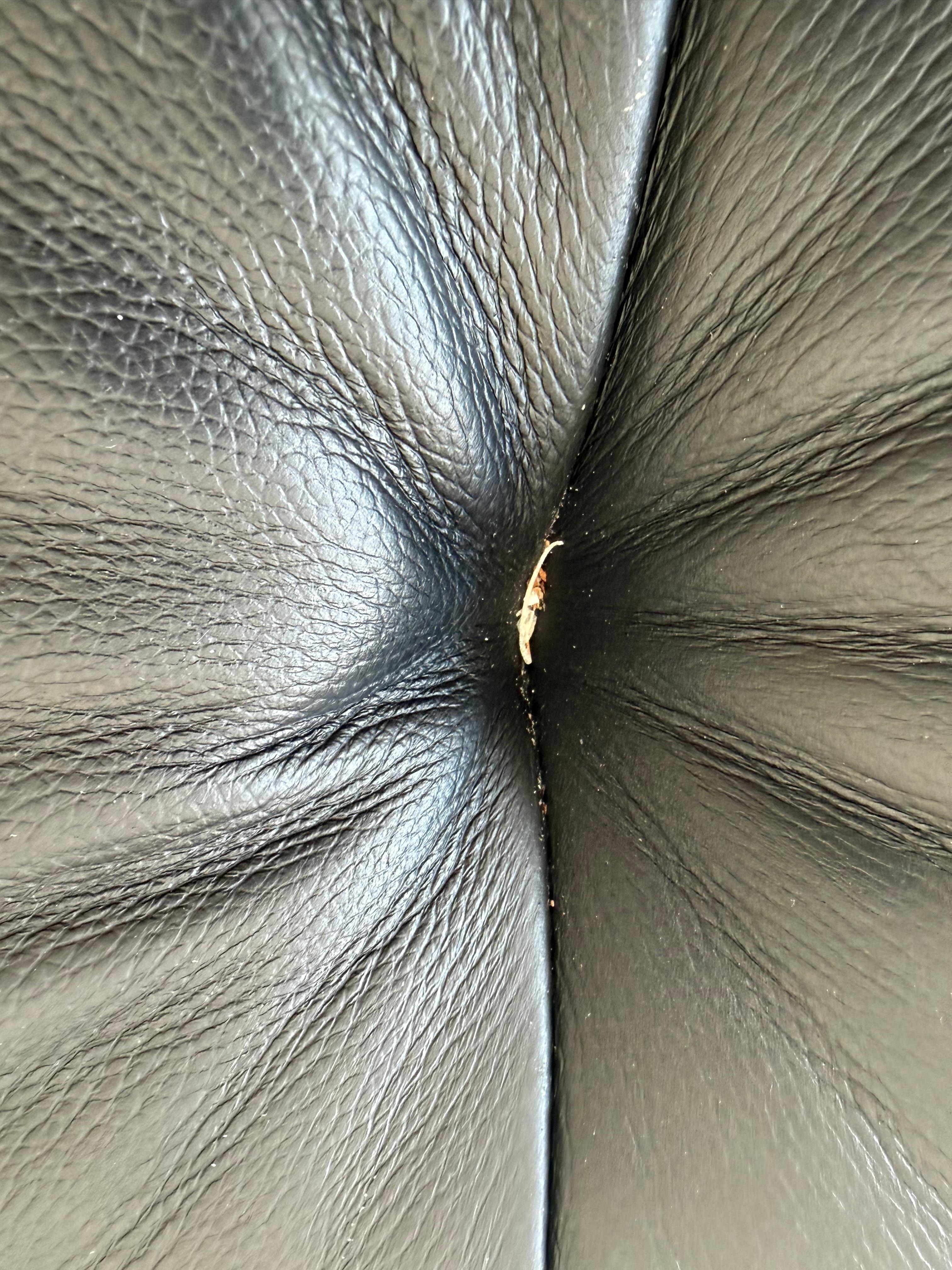 Someone’s fingernail or toenail clipping 