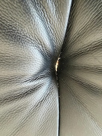 Someone’s fingernail or toenail clipping