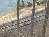 Lots of Deer to warch