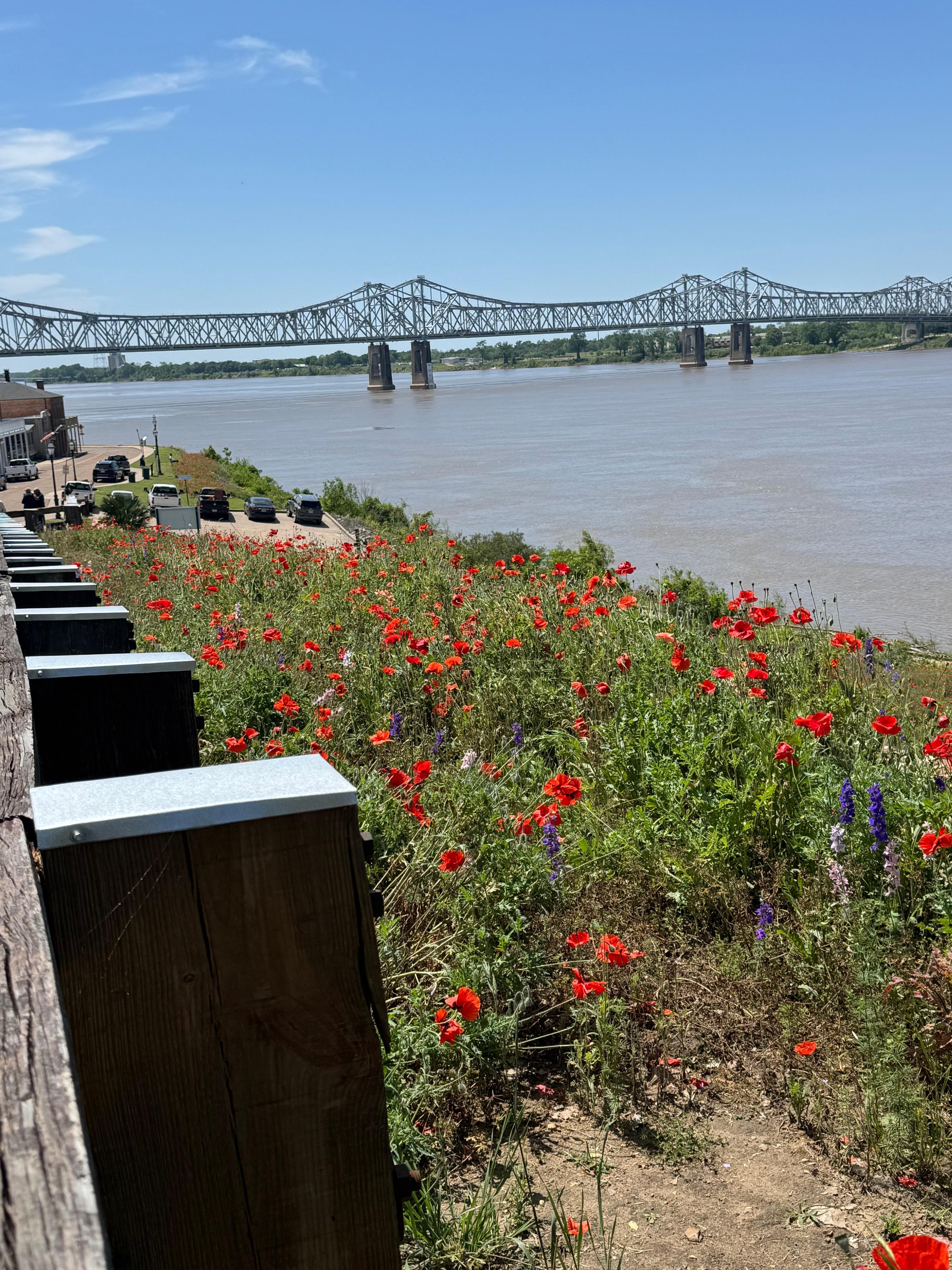 Natchez river front