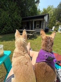The front of the very dog-friendly cabin.