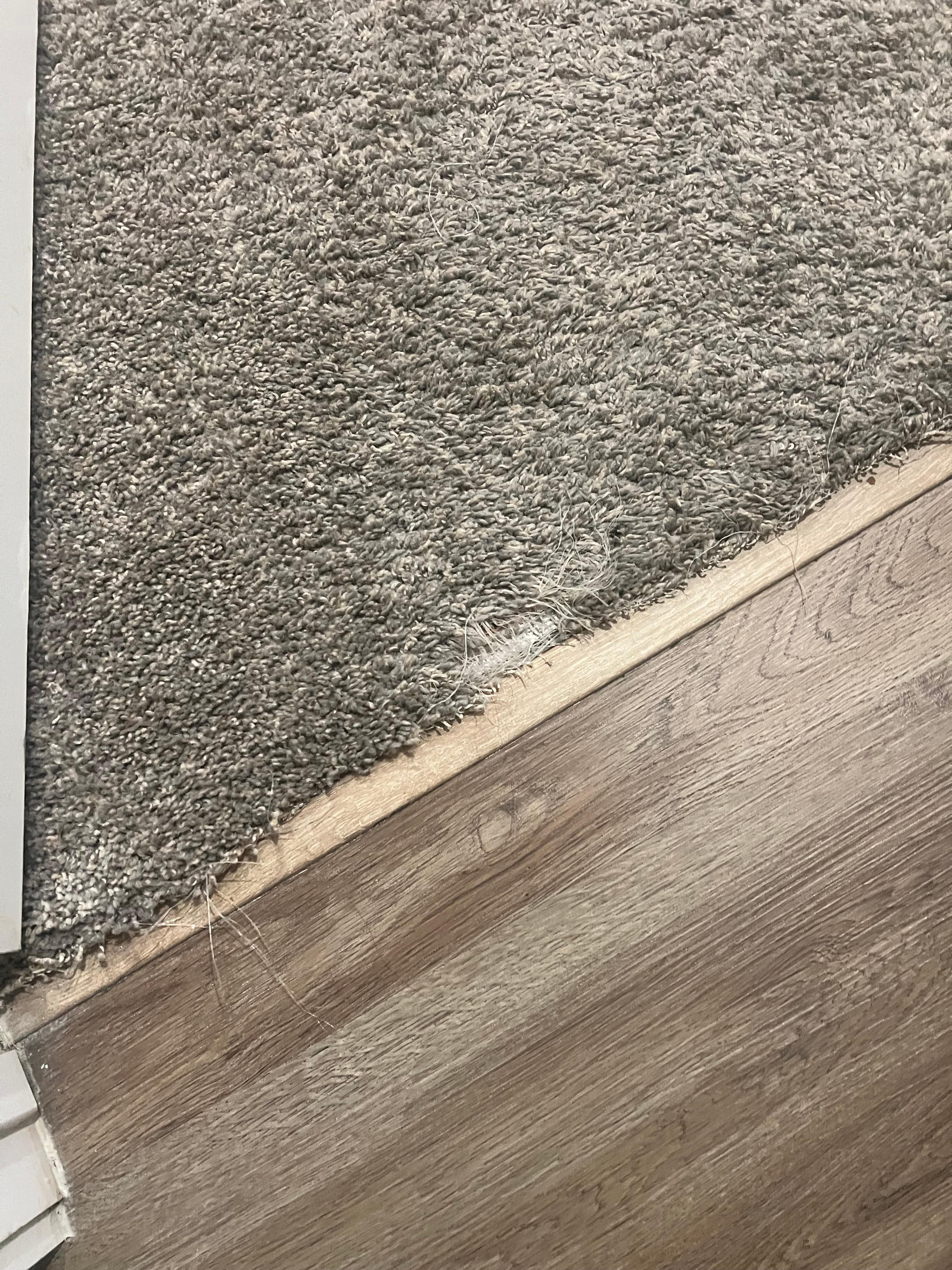 Door jam carpet frayed and raised