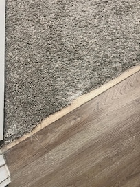 Door jam carpet frayed and raised