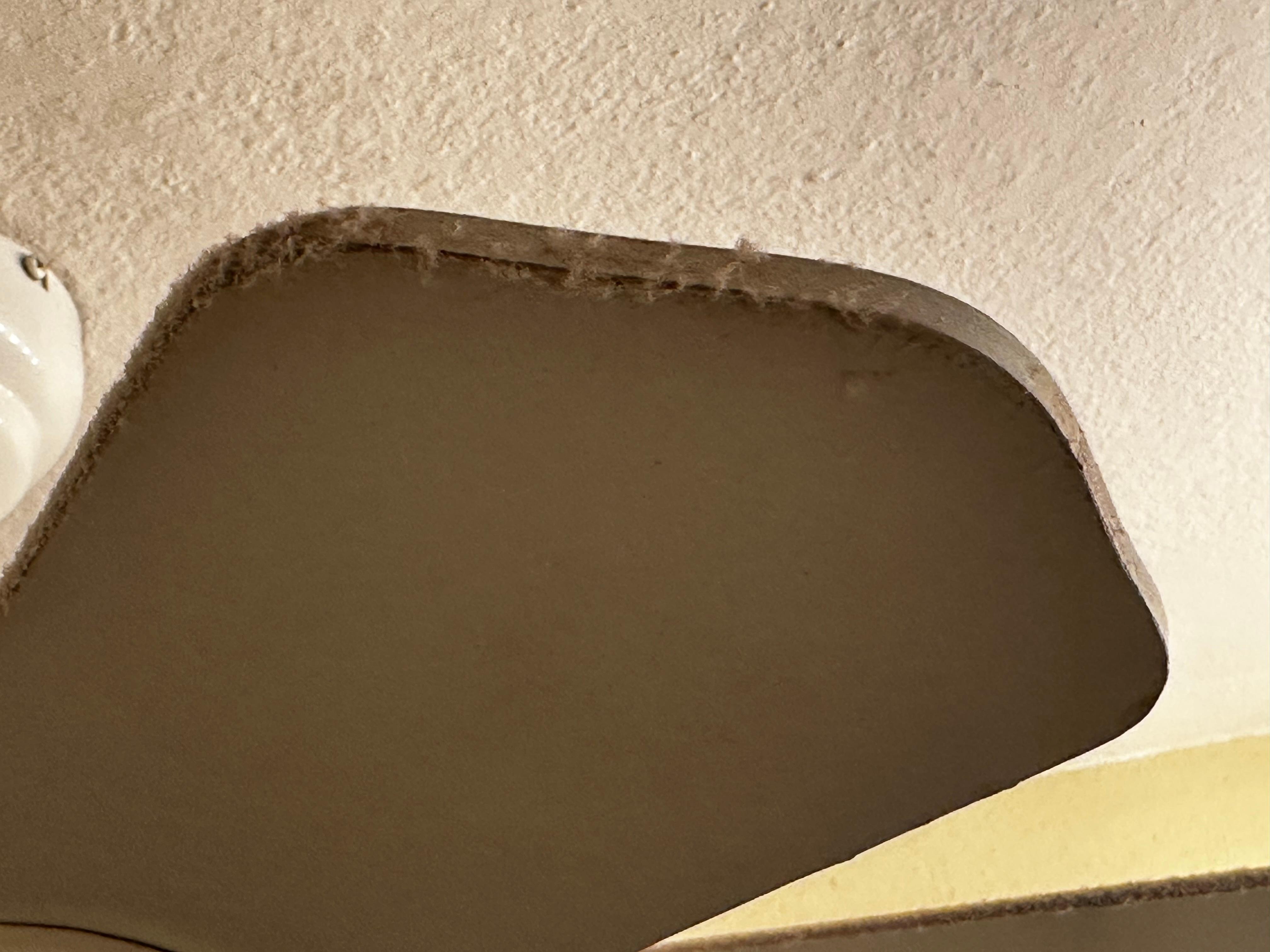 Chia pet growing on the ceiling fan 