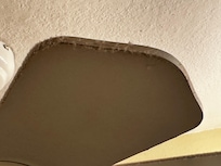 Chia pet growing on the ceiling fan