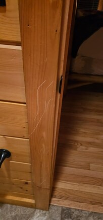 Bathroom door frame