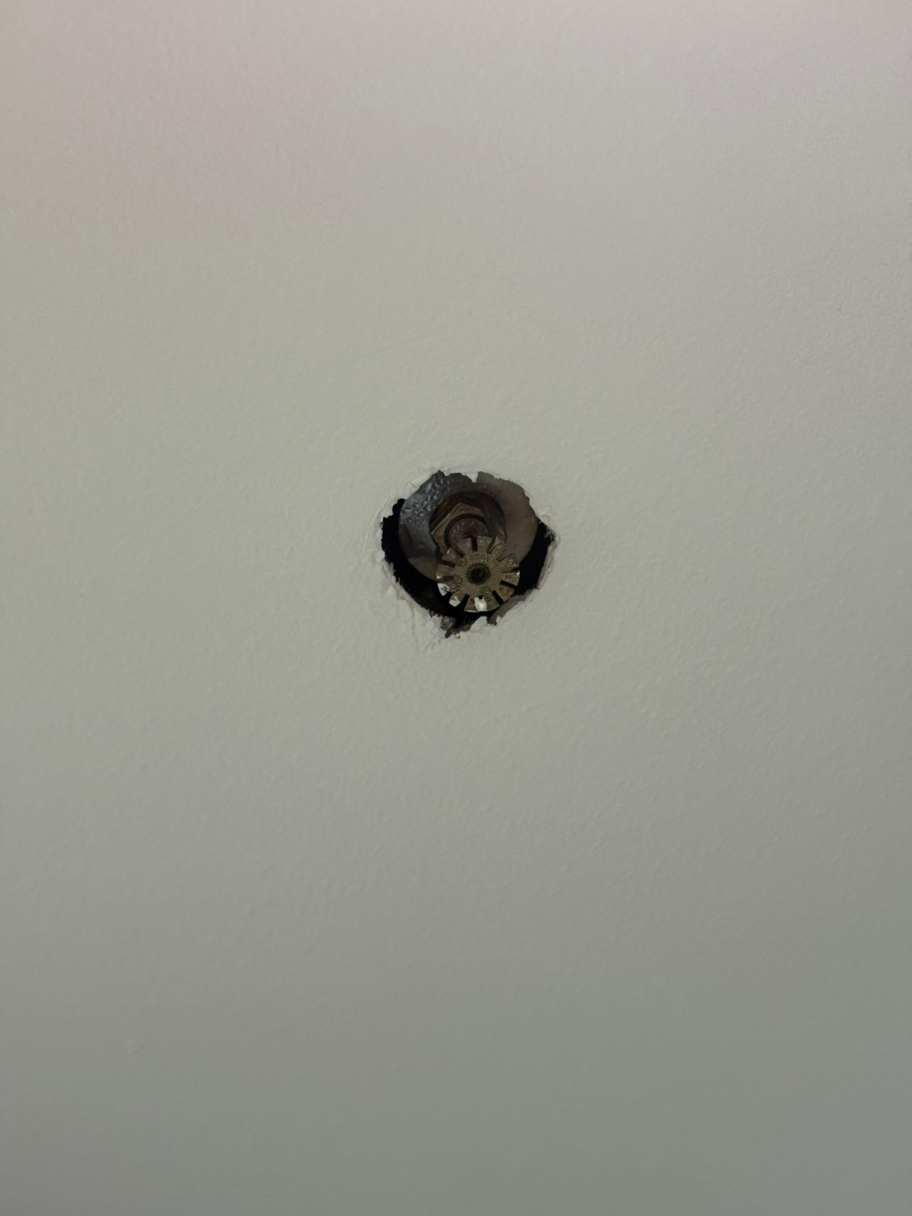 Sprinkler in a hole in bathroom 