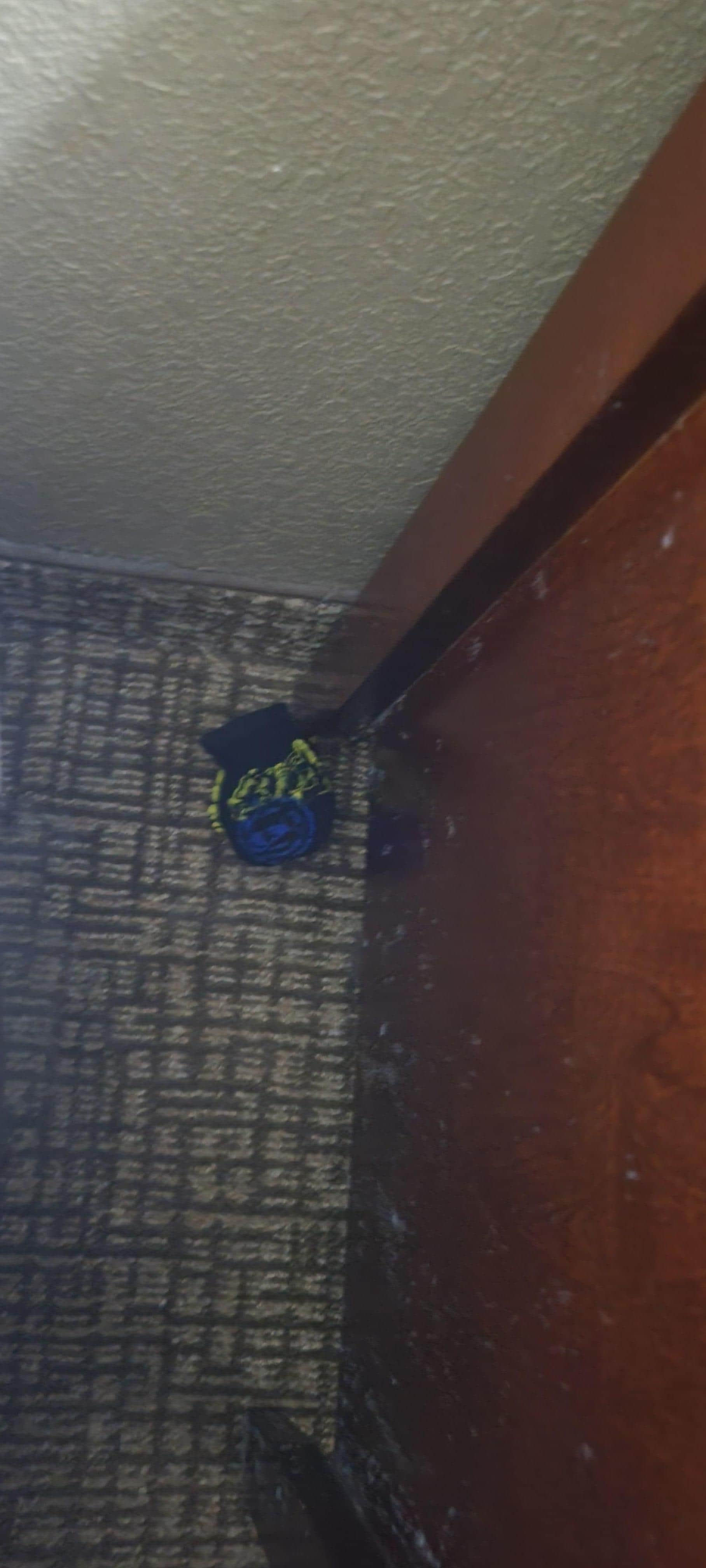 previous guest socks