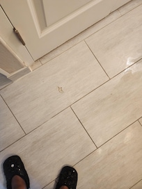 Bathroom Hallway Needs Repair