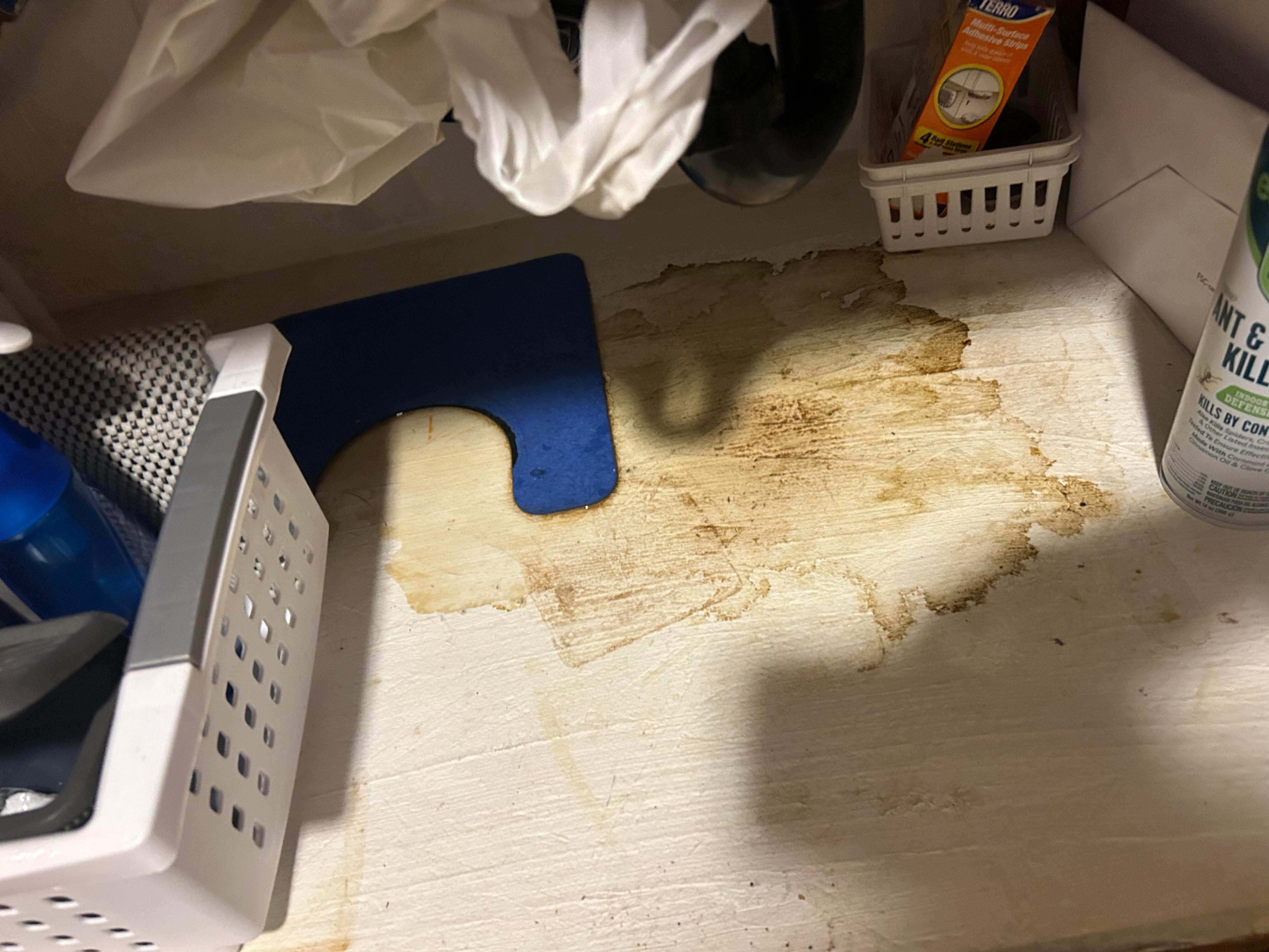 Dripping sink with cabinet damage in kitchen 