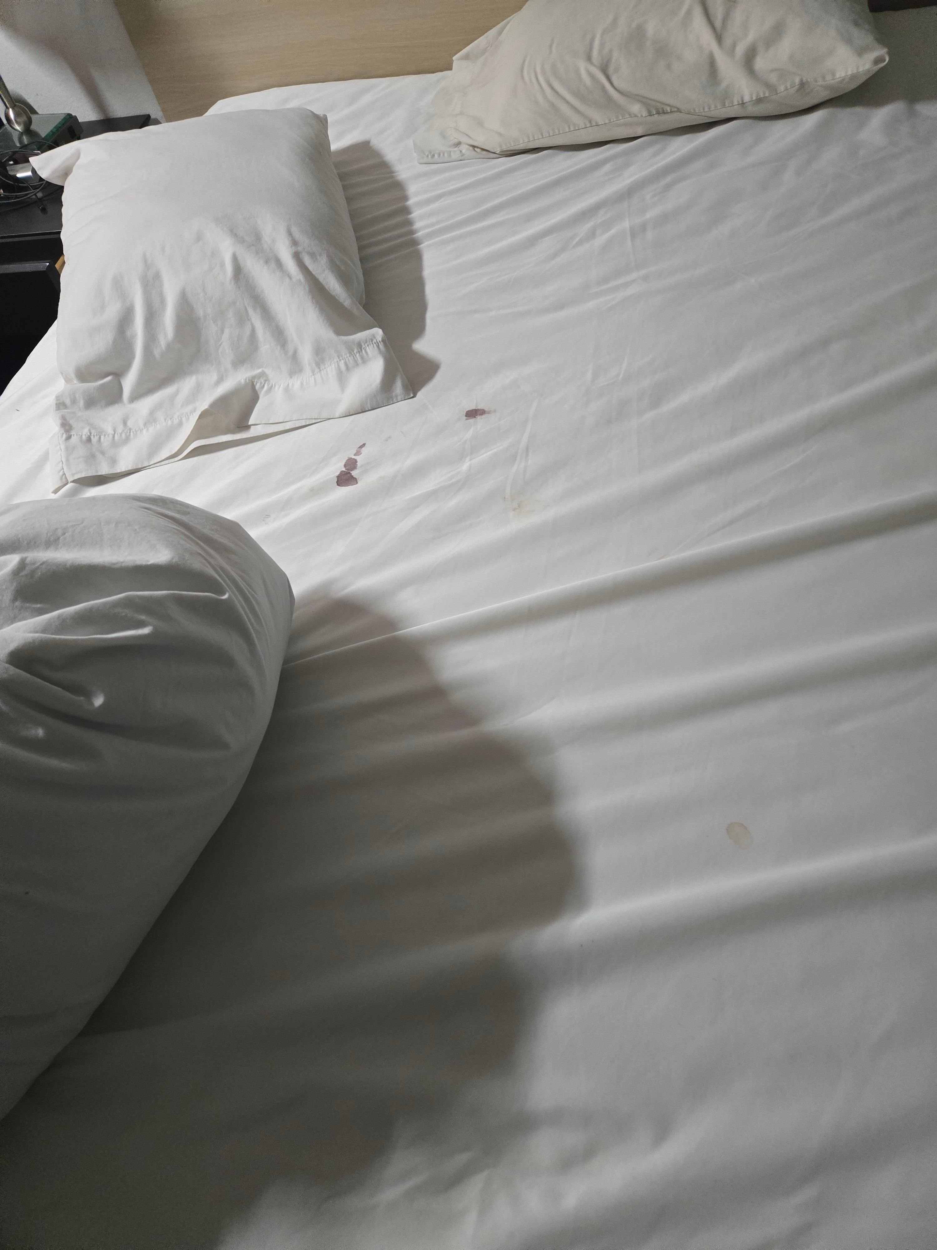 Blood on protective cover on bed